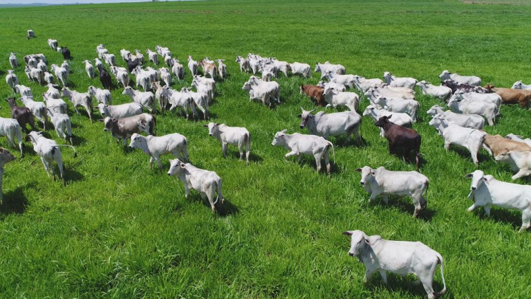 Imagem Fazenda à Venda, 632 m² em Rural - Echaporã Imagem Fazenda à Venda, 632 m² em Rural - Echaporã