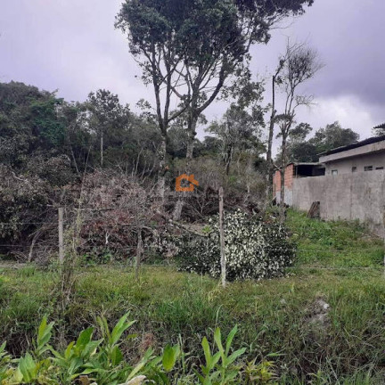 Terreno à Venda, 250 m² em Baln. Tupy - Itanhaém