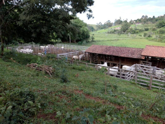 Imagem Chácara com 3 Quartos à Venda, 532 m² em Zona Rural - Cambuí