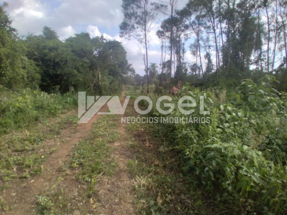 Imóvel à Venda, 5 m² em Bairro Não Informado - Ivoti