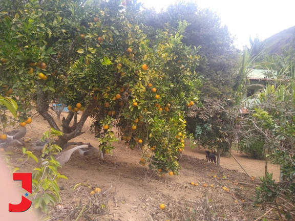 Imagem Fazenda à Venda, em . - Domingos Martins Imagem Fazenda à Venda, em . - Domingos Martins