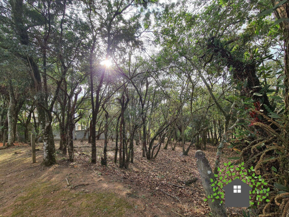 Imagem Terreno à Venda, 1 m² em Parque Rincão - Cotia Imagem Terreno à Venda, 1 m² em Parque Rincão - Cotia