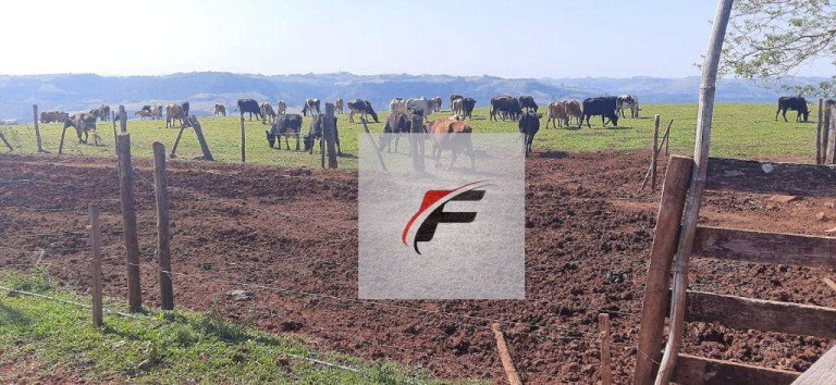 Fazenda à Venda, 1.149.500 m² em Bairro Rural - Manoel Ribas