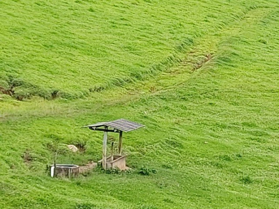Imagem Fazenda à Venda, 1.000 m² em Campos De Cunha - Cunha Imagem Fazenda à Venda, 1.000 m² em Campos De Cunha - Cunha