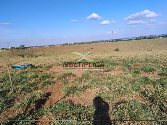 Imagem Chácara à Venda, 21 m² em Fronteira Imagem Chácara à Venda, 21 m² em Fronteira
