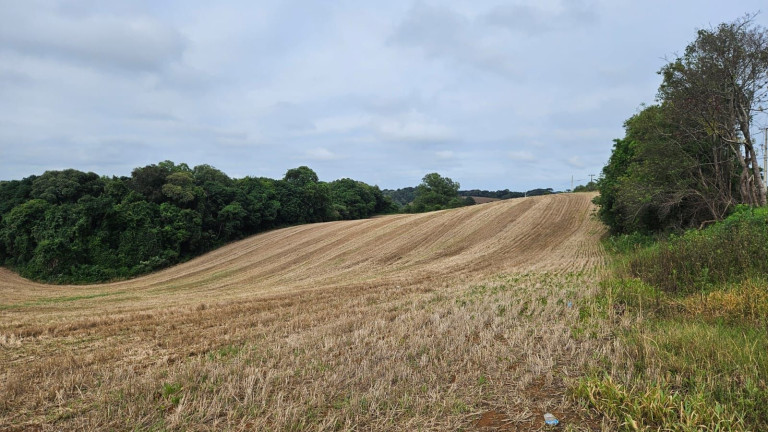 Imagem Terreno à Venda, 84.700 m² em Guajuvira - Araucaria Imagem Terreno à Venda, 84.700 m² em Guajuvira - Araucaria