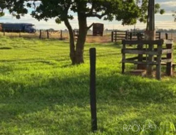 Imagem Fazenda à Venda, 2.032.800 m² em Zona Rural - Guaraci