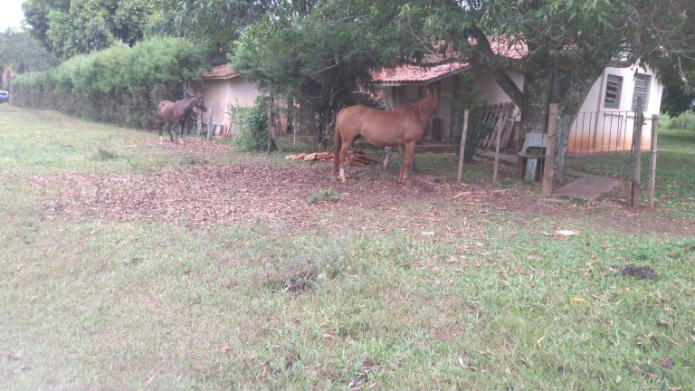 Imagem Fazenda à Venda, 42 m² em Rural - Avaré Imagem Fazenda à Venda, 42 m² em Rural - Avaré