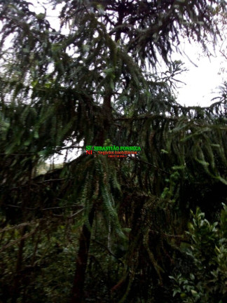 Imagem Chácara à Venda, 2.000 m² em Sob. Consulta - São José Dos Campos Imagem Chácara à Venda, 2.000 m² em Sob. Consulta - São José Dos Campos