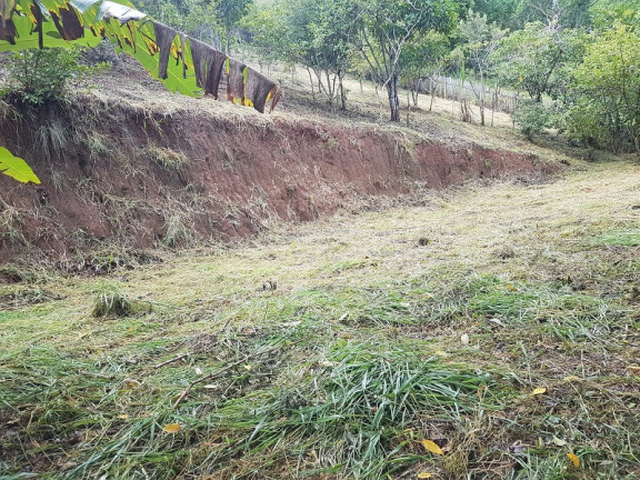 Imagem Imóvel à Venda, em Redenção Da Serra Imagem Imóvel à Venda, em Redenção Da Serra