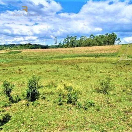 Imagem Chácara à Venda, 20.000 m² em Gravataí Imagem Chácara à Venda, 20.000 m² em Gravataí