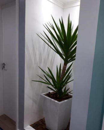 Imagem Apartamento com 3 Quartos à Venda, 110 m² em Cambuci - São Paulo Imagem Apartamento com 3 Quartos à Venda, 110 m² em Cambuci - São Paulo