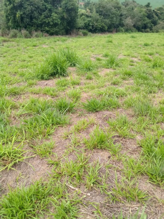 Imagem Terreno à Venda, 4.500 m² em Lageadinho - Tatuí