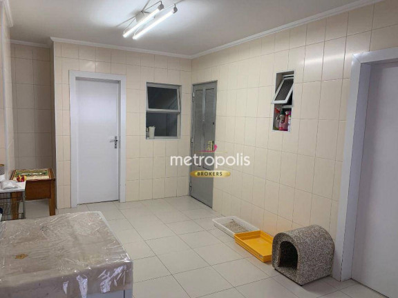 Imagem Apartamento com 2 Quartos à Venda ou Locação, 300 m² em Cambuci - São Paulo