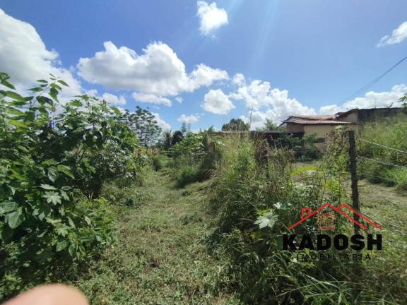 Imagem Terreno para Alugar, 1.200 m² em Pedra Do Descanso - Feira De Santana