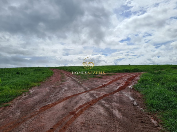 Imagem Imóvel com 7 Quartos à Venda, 1.822 m² em Zona Rural - Primavera Do Leste Imagem Imóvel com 7 Quartos à Venda, 1.822 m² em Zona Rural - Primavera Do Leste
