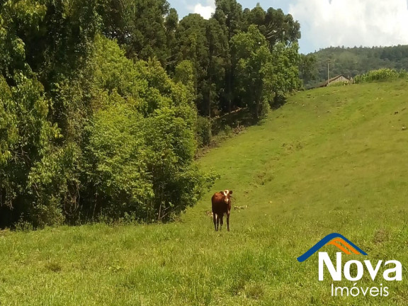 Imagem Imóvel à Venda, em Nove Colônias - Nova Petrópolis Imagem Imóvel à Venda, em Nove Colônias - Nova Petrópolis