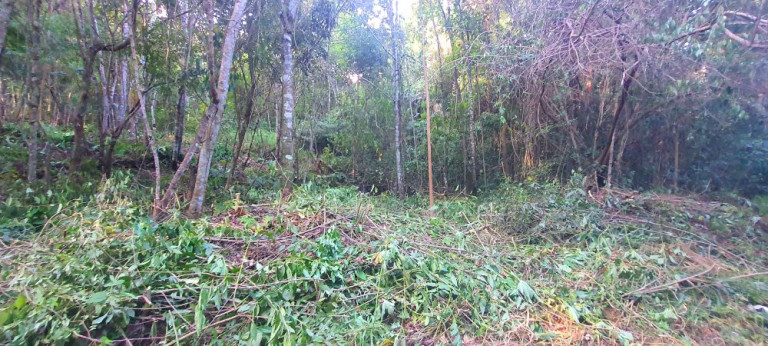 Imagem Imóvel à Venda, 282 m² em Loteamento Bosque Dos Palmares - Atibaia Imagem Imóvel à Venda, 282 m² em Loteamento Bosque Dos Palmares - Atibaia