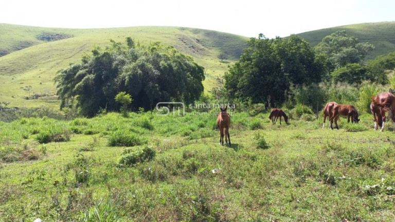 Imóvel com 4 Quartos à Venda, 12.000 m² em Pedroso - Lorena