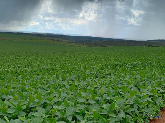 Imagem Chácara à Venda,  em área Rural - Tupaciguara