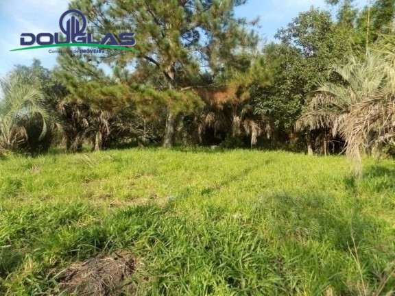 Imagem Terreno à Venda, 465 m² em águas Claras - Viamão