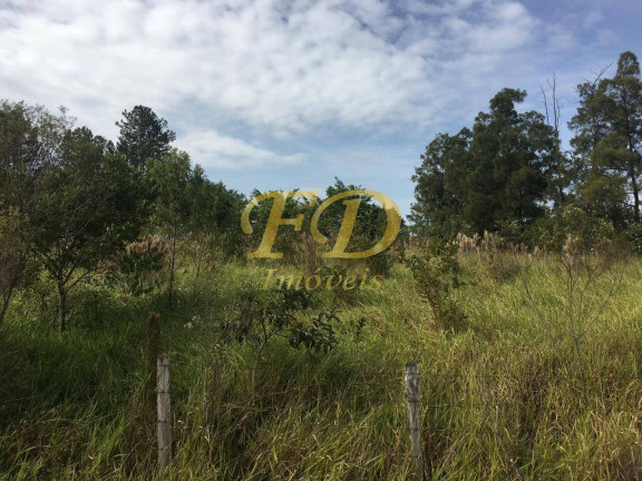 Imagem Terreno à Venda, 3.756 m² em Bom Jesus Dos Perdões Imagem Terreno à Venda, 3.756 m² em Bom Jesus Dos Perdões