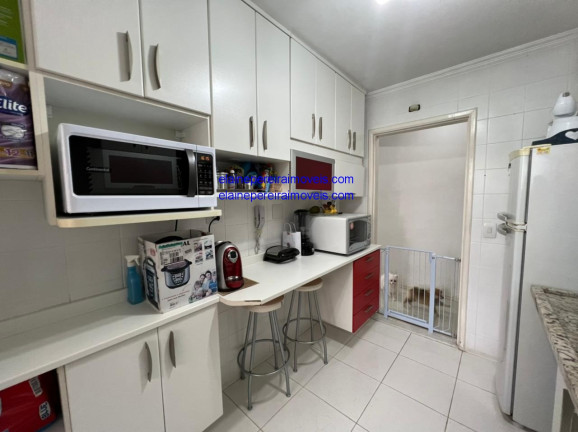 Imagem Apartamento com 3 Quartos à Venda, 72 m² em Jardim Ester Yolanda - São Paulo Imagem Apartamento com 3 Quartos à Venda, 72 m² em Jardim Ester Yolanda - São Paulo