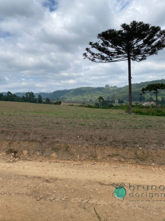 Imagem Imóvel à Venda, 1.600.000 m² em Zona Rural - Vidal Ramos Imagem Imóvel à Venda, 1.600.000 m² em Zona Rural - Vidal Ramos