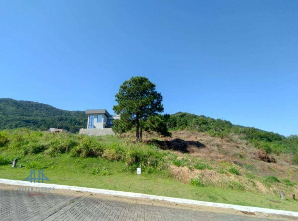 Imagem Terreno à Venda, 525 m² em Itacorubi - Florianópolis