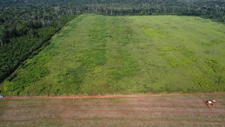 Fazenda à Venda, 13 m² em Residencial Maripá - Sinop