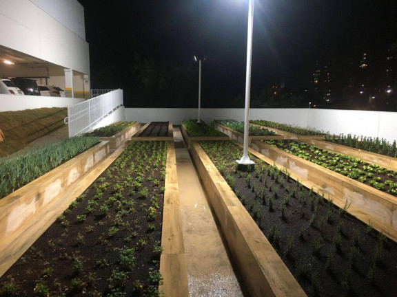 Imagem Apartamento com 2 Quartos à Venda, 72 m² em Jardim Piratininga - Sorocaba Imagem Apartamento com 2 Quartos à Venda, 72 m² em Jardim Piratininga - Sorocaba