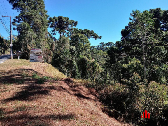 Imagem Imóvel Comercial à Venda, 5 m² em Vila Capivari - Campos Do Jordão Imagem Imóvel Comercial à Venda, 5 m² em Vila Capivari - Campos Do Jordão