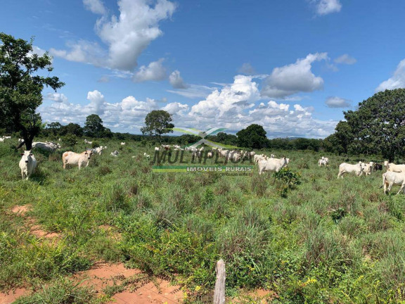 Imagem Fazenda à Venda, 740 m² em Talismã