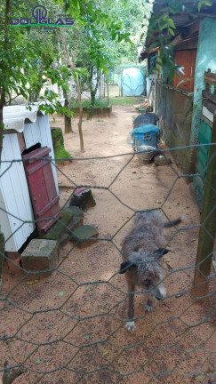 Imagem Casa com 3 Quartos à Venda, em Viamão Imagem Casa com 3 Quartos à Venda, em Viamão