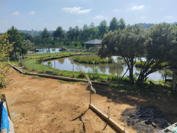 Imagem Chácara com 3 Quartos à Venda, 180 m² em Campo Alegre