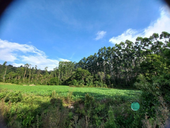 Imagem Imóvel à Venda, 170.000 m² em Zona Rural - Alfredo Wagner Imagem Imóvel à Venda, 170.000 m² em Zona Rural - Alfredo Wagner