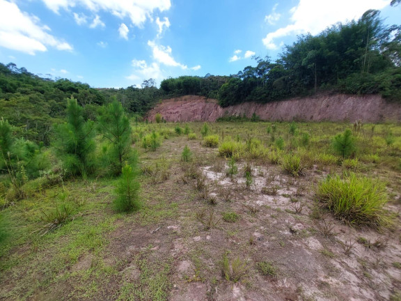 Imagem Terreno à Venda, 12.500 m² em Vila Noêmia - Mauá Imagem Terreno à Venda, 12.500 m² em Vila Noêmia - Mauá