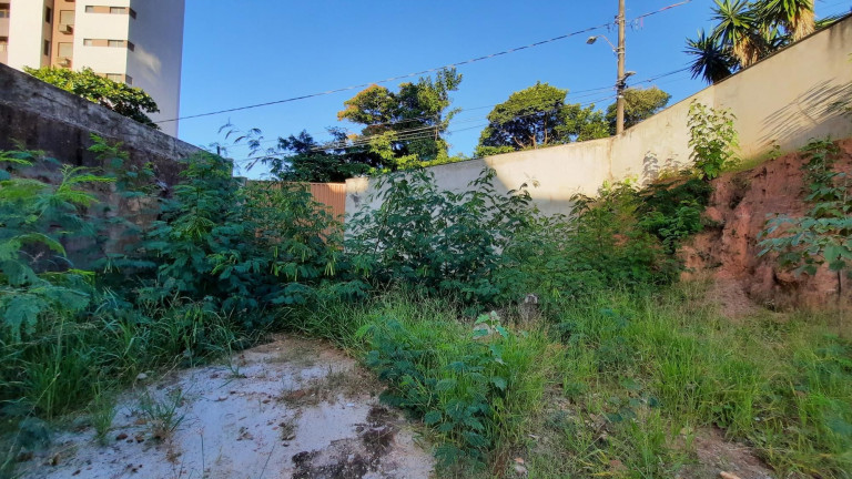 Imagem Terreno à Venda, 378 m² em Gutierrez - Belo Horizonte