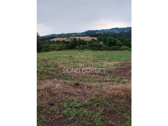 Imagem Imóvel à Venda, em Linha Xv De Novembro - Lindóia Do Sul Imagem Imóvel à Venda, em Linha Xv De Novembro - Lindóia Do Sul