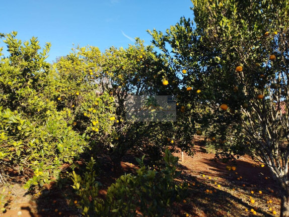 Imagem Chácara com 3 Quartos à Venda, 1.440 m² em Jardim Cananéia - Pilar Do Sul Imagem Chácara com 3 Quartos à Venda, 1.440 m² em Jardim Cananéia - Pilar Do Sul