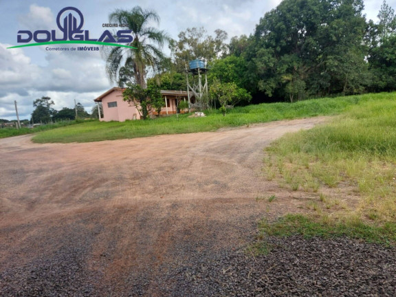 Imagem Imóvel Comercial à Venda, 10.000 m² em Viamão Imagem Imóvel Comercial à Venda, 10.000 m² em Viamão