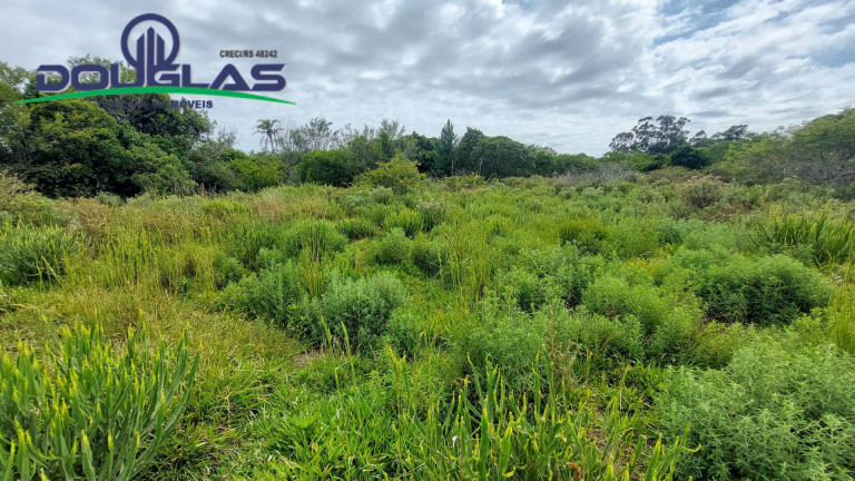 Imagem Chácara à Venda, 20.000 m² em águas Claras - Viamão Imagem Chácara à Venda, 20.000 m² em águas Claras - Viamão