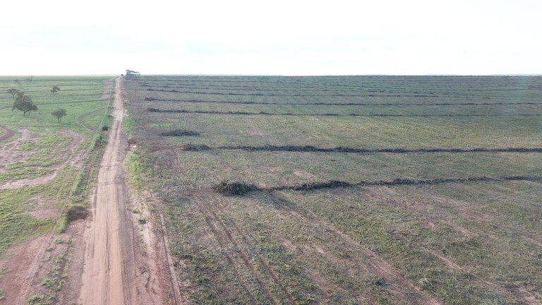 Imagem Fazenda à Venda, 1 m² em Mateiros Imagem Fazenda à Venda, 1 m² em Mateiros