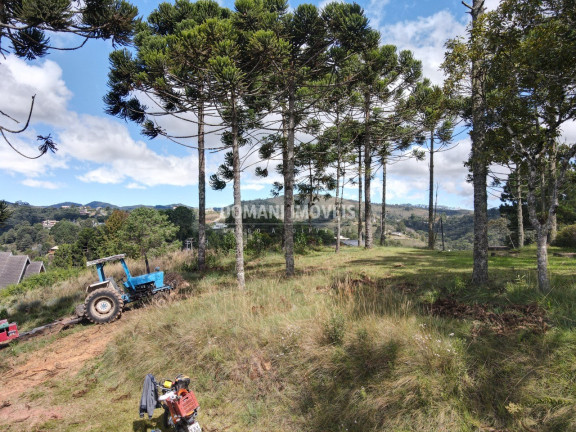 Imagem Terreno à Venda, 2.420 m² em Região De Descansópolis - Campos Do Jordão Imagem Terreno à Venda, 2.420 m² em Região De Descansópolis - Campos Do Jordão