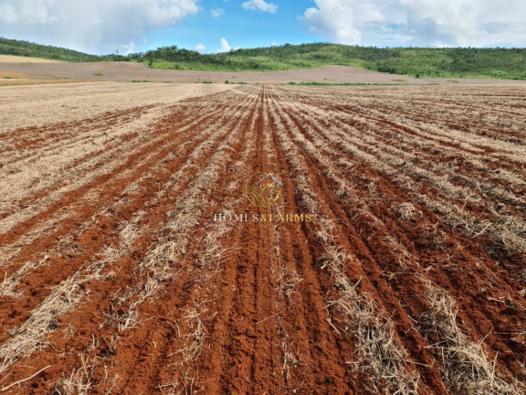 Imagem Imóvel com 3 Quartos à Venda, 1.349 m² em Centro - Primavera Do Leste Imagem Imóvel com 3 Quartos à Venda, 1.349 m² em Centro - Primavera Do Leste