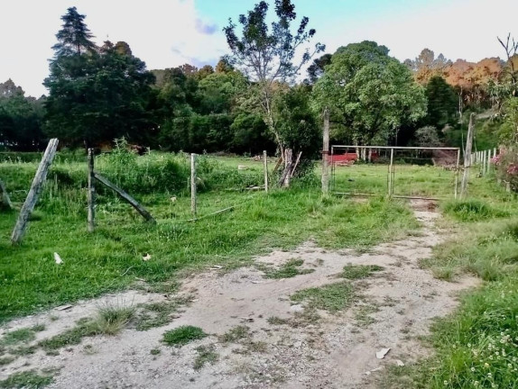 Imagem Fazenda à Venda, em Zona Rural (bugre) - Balsa Nova Imagem Fazenda à Venda, em Zona Rural (bugre) - Balsa Nova