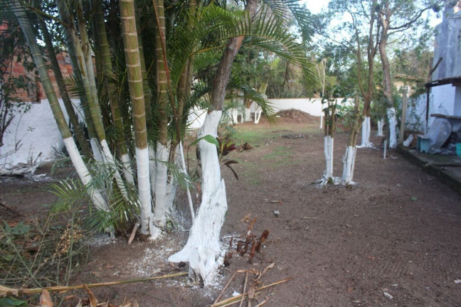 Imagem Terreno à Venda, 2.085 m² em Tapera - Florianópolis