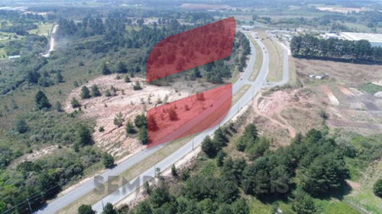 Terreno à Venda, 53.839 m² em Roseira - São José Dos Pinhais