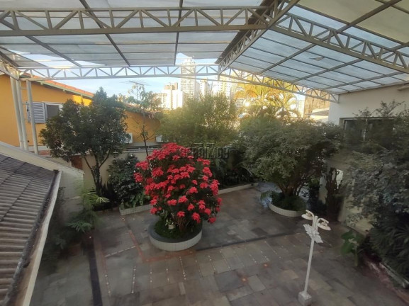 Imagem Sobrado com 3 Quartos à Venda, 750 m² em Vila Hamburguesa - São Paulo Imagem Sobrado com 3 Quartos à Venda, 750 m² em Vila Hamburguesa - São Paulo