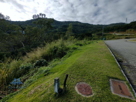 Imagem Terreno à Venda, 533 m² em Itacorubi - Florianópolis